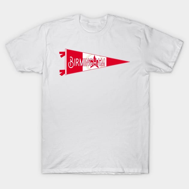 Birmingham Pennant T-Shirt by zsonn